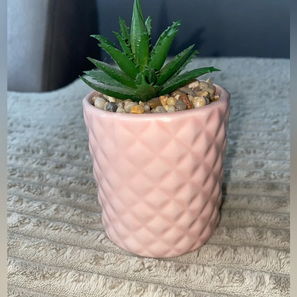 🌿 Chic Mini Faux Succulent in Blush Pink Pot 🌸